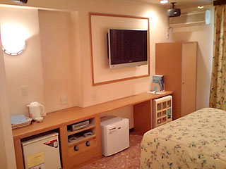 松山市/ホテル リバティ/204号室(D-Type)/テレビと設備類