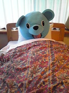 ベッドの中の青い熊