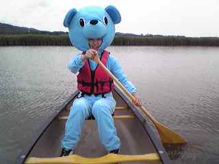 カヌーを漕ぐ青い熊